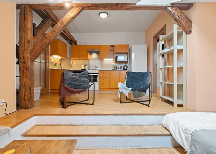 Vintage Apts In Heart Of By Michal&friends Apartment