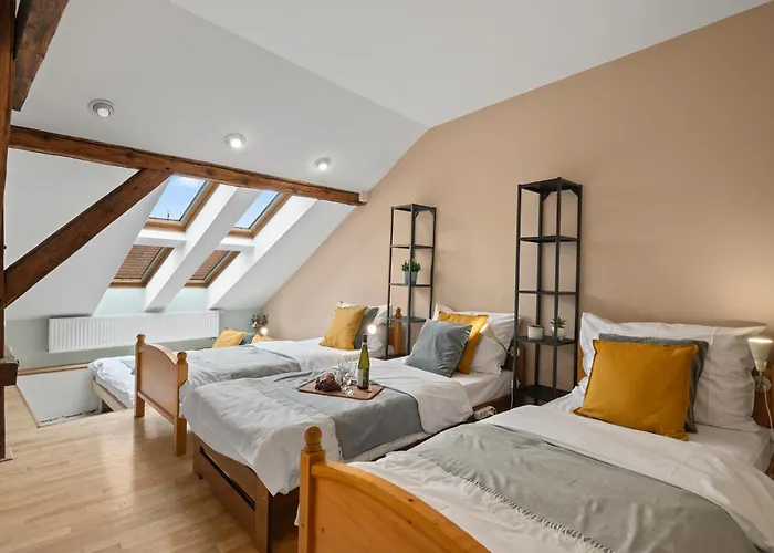 Vintage Apts In Heart Of By Michal&friends Apartment