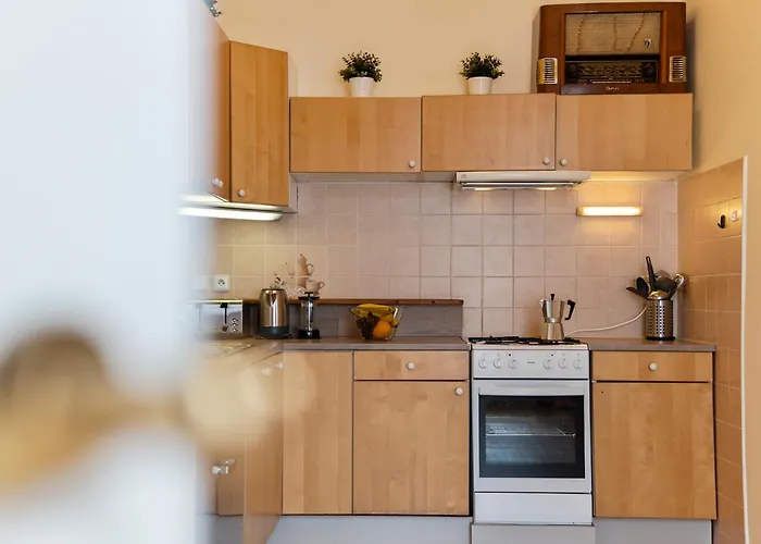 Vintage Apts In Heart Of By Michal&friends Apartment *