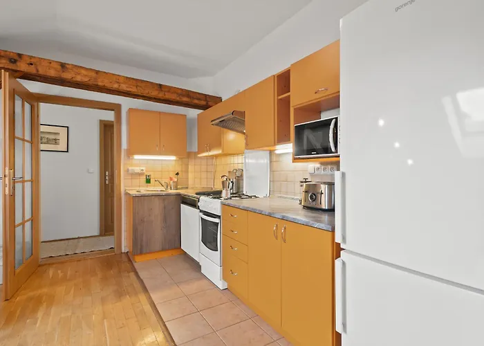 Vintage Apts In Heart Of By Michal&friends Apartment Prag
